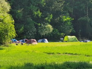 Meadow Wild Camping in Dorset